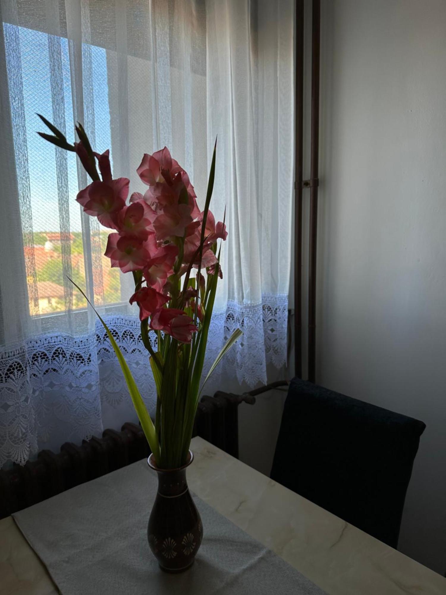 Tamaris Apartment Subotica Exteriér fotografie